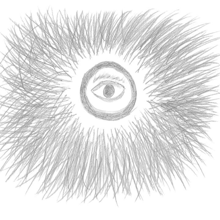 Schritte der Herstellung der Arbeit