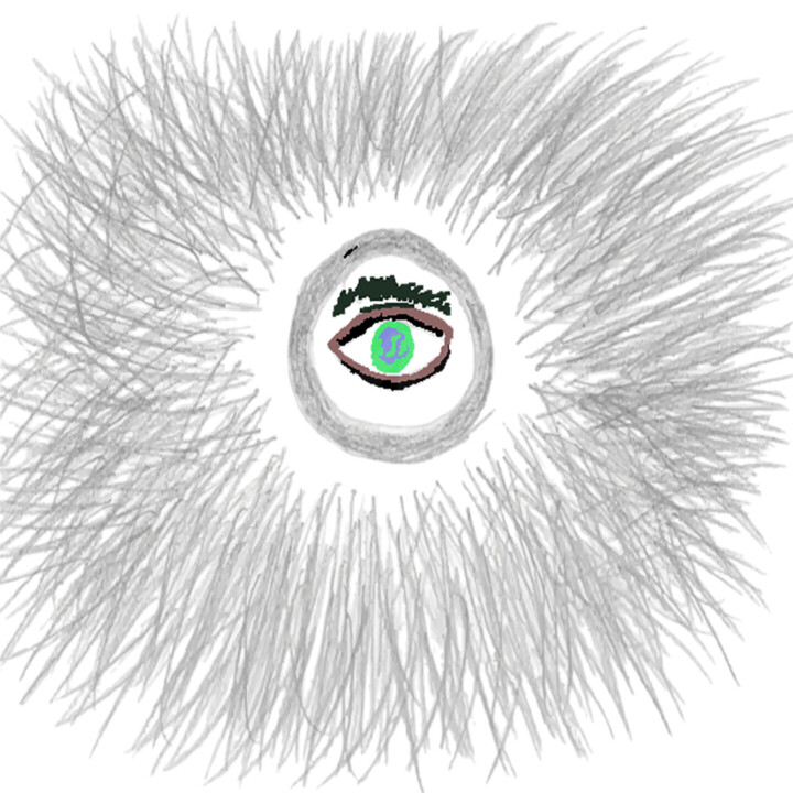 Schritte der Herstellung der Arbeit