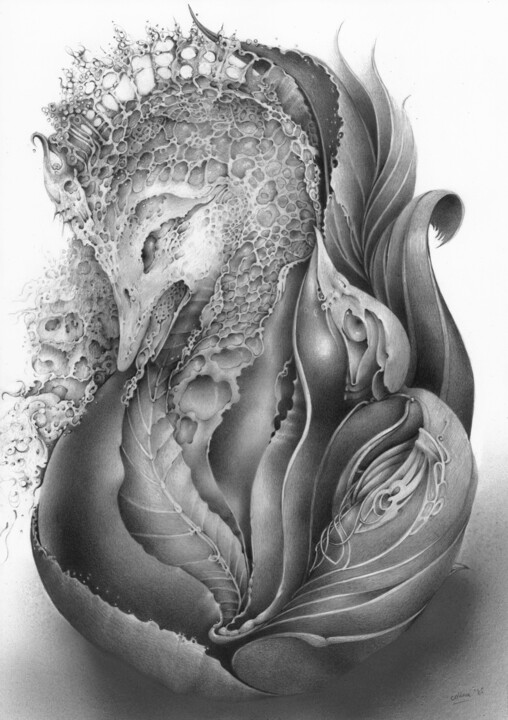 Dibujo titulada "Frozen" por Symona Colina, Obra de arte original, Lápiz