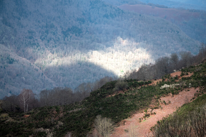 Photographie intitulée "ARIEGE_0011355" par Philip Payne, Œuvre d'art originale, Photographie non manipulée