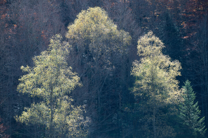 Photographie intitulée "ARIEGE_0011331" par Philip Payne, Œuvre d'art originale, Photographie non manipulée