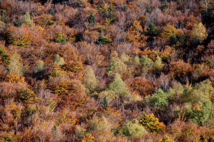 Photographie intitulée "ARIEGE_0011309.jpg" par Philip Payne, Œuvre d'art originale, Photographie non manipulée