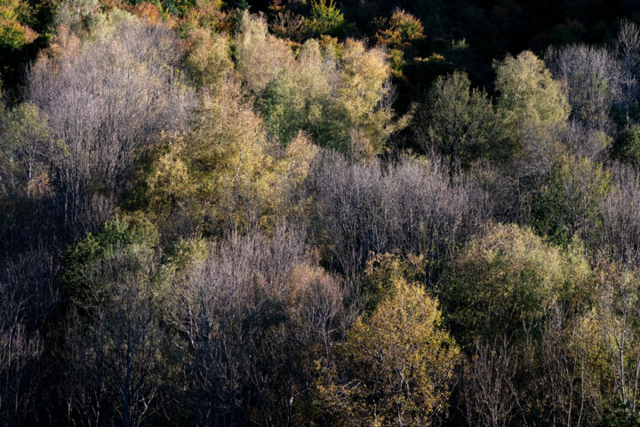 Photographie intitulée "ARIEGE_001128" par Philip Payne, Œuvre d'art originale, Photographie non manipulée