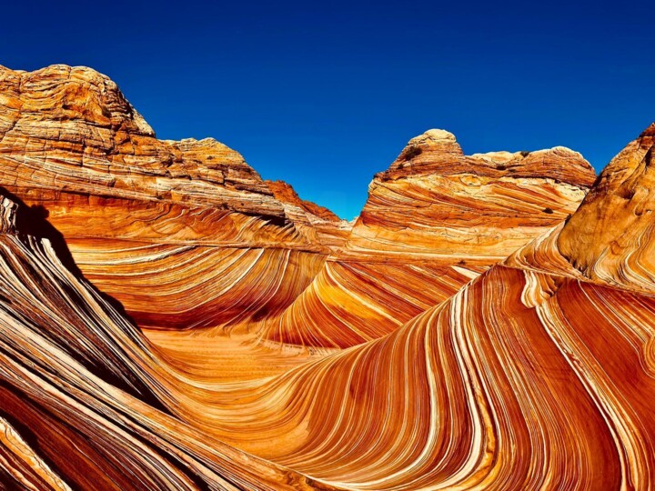 Photographie,  7,9x11,8 in 