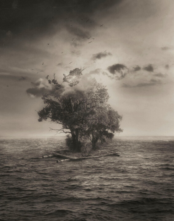 Fotografia,  17,1x13,4 in 