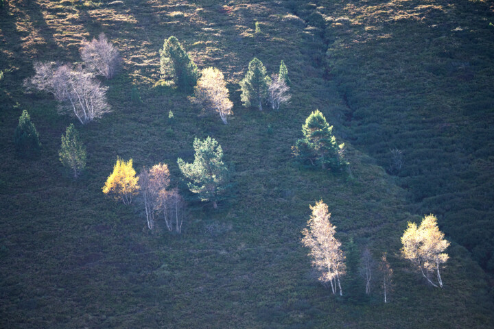 Photographie intitulée "ARIEGE_0011324" par Philip Payne, Œuvre d'art originale, Photographie non manipulée