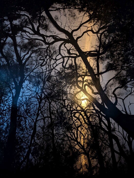 绘画 标题为“Into the Woods” 由Pepijn Simon, 原创艺术品, 油