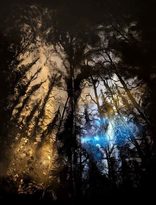 绘画 标题为“Into the Woods 2” 由Pepijn Simon, 原创艺术品, 油