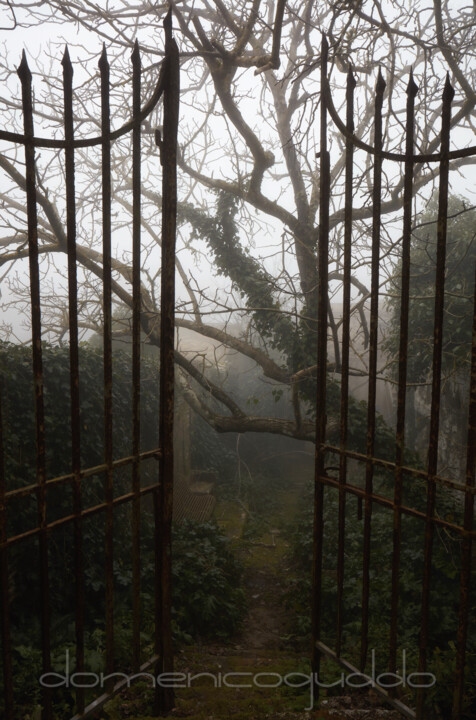 Fotografie getiteld "Dove il tempo si ar…" door Domenico Guddo, Origineel Kunstwerk, Digitale fotografie