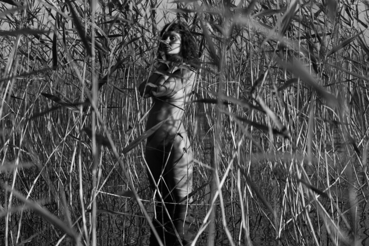 Photographie intitulée "in your dream 2" par Lelia Matic, Œuvre d'art originale, Photographie numérique