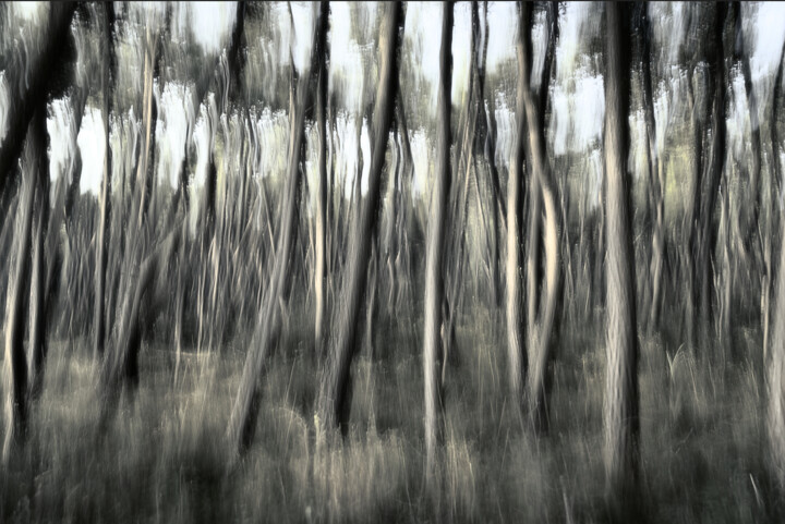 Fotografie getiteld "Faint Echoes of the…" door Redrumstudio, Origineel Kunstwerk, Digitale fotografie