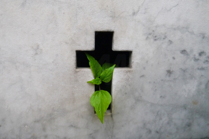 "DEATH BIRTHING LIFE" başlıklı Fotoğraf Miles Astray tarafından, Orijinal sanat, Dijital Fotoğrafçılık