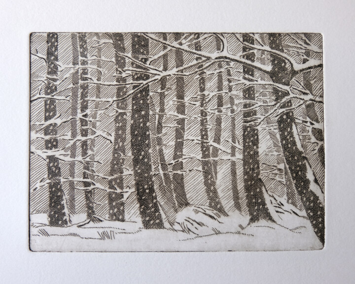 Impressões e gravuras intitulada "Neve nel bosco" por Giancarlo Colombo, Obras de arte originais, Água forte