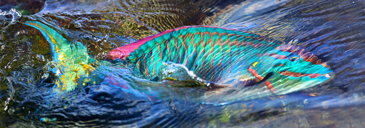 Fotografía titulada "Drawing with light…" por Federico Cabello, Obra de arte original, Fotografía no manipulada