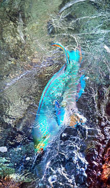 Fotografía titulada "Drawing with light…" por Federico Cabello, Obra de arte original, Fotografía no manipulada