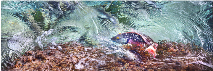 Fotografía titulada "Drawing with light…" por Federico Cabello, Obra de arte original, Fotografía no manipulada