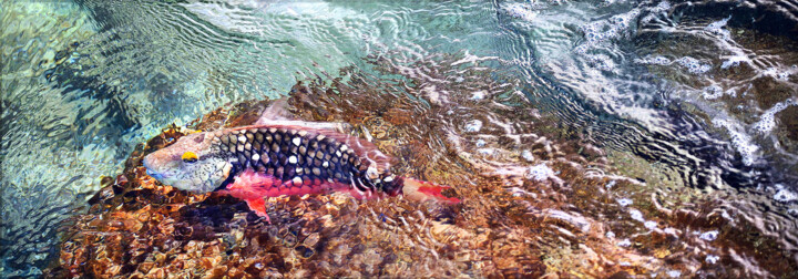 Fotografía titulada "Drawing with light…" por Federico Cabello, Obra de arte original, Fotografía no manipulada