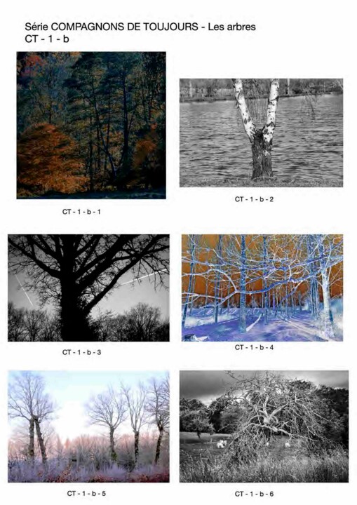 Compagnons de toujours …