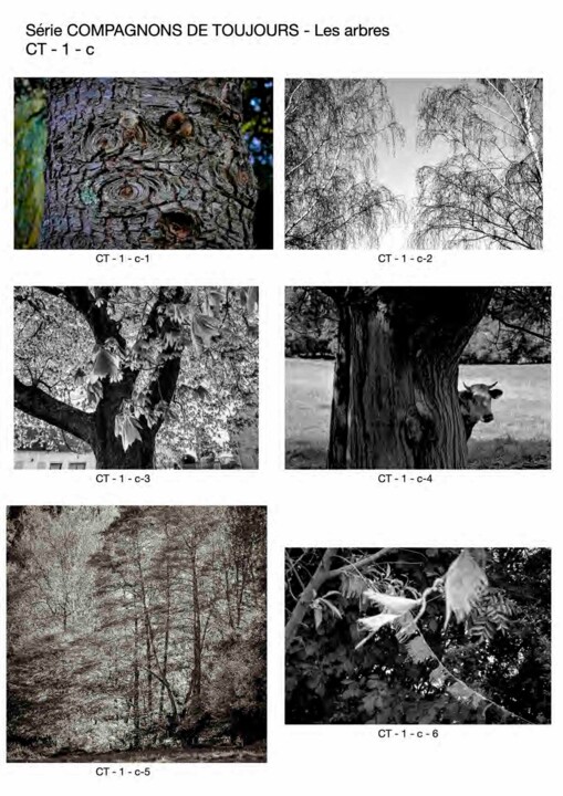 Nos compagnons pour toujours