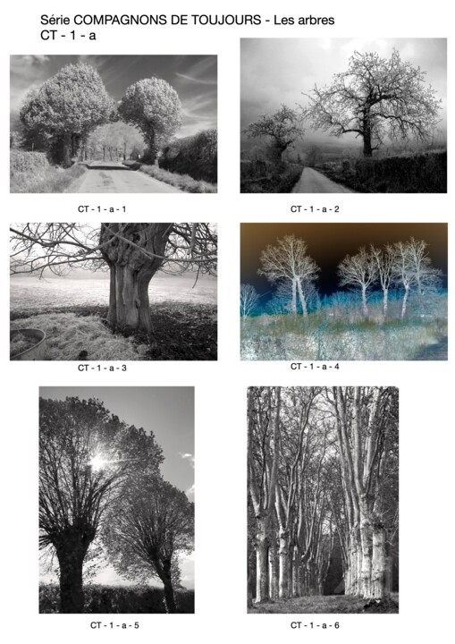 Des compagnons sur lesquels on peut s'appuyer