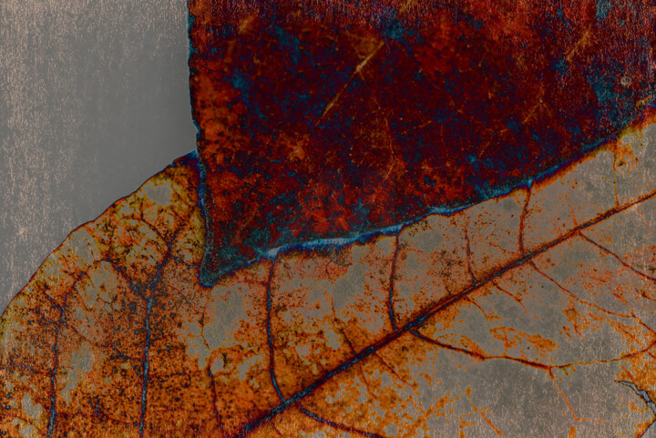 Fotografie getiteld "Flower design_ 43239" door Michael Vdovin, Origineel Kunstwerk, Digitale fotografie