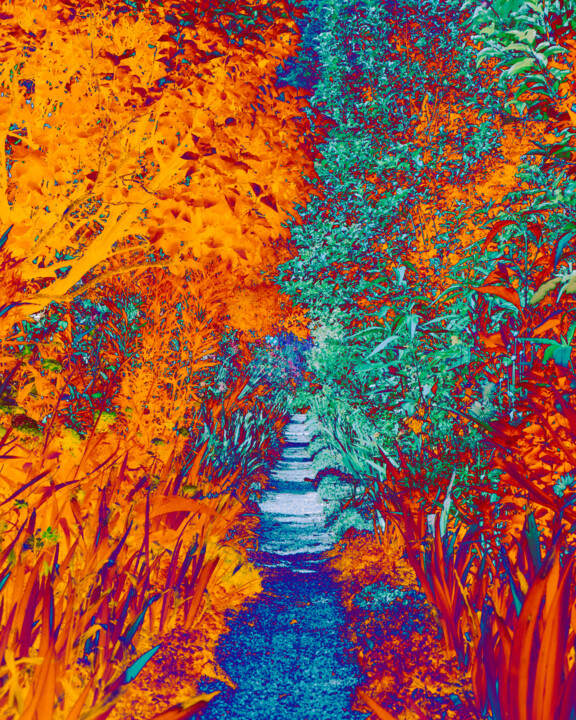 Φωτογραφία με τίτλο "Jardins de Monet 13" από Aurélien Bellido, Αυθεντικά έργα τέχνης, Χειρισμένη φωτογραφία
