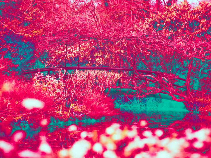 Φωτογραφία με τίτλο "Jardins de Monet 23" από Aurélien Bellido, Αυθεντικά έργα τέχνης, Χειρισμένη φωτογραφία