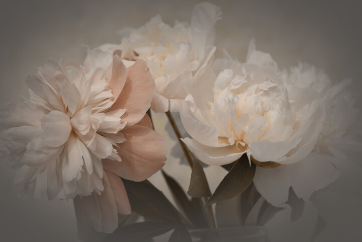 Fotografie getiteld "Flower design_ 11215" door Michael Vdovin, Origineel Kunstwerk, Digitale fotografie