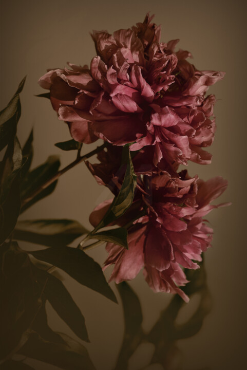 Fotografie getiteld "Flower design_ 43811" door Michael Vdovin, Origineel Kunstwerk, Digitale fotografie