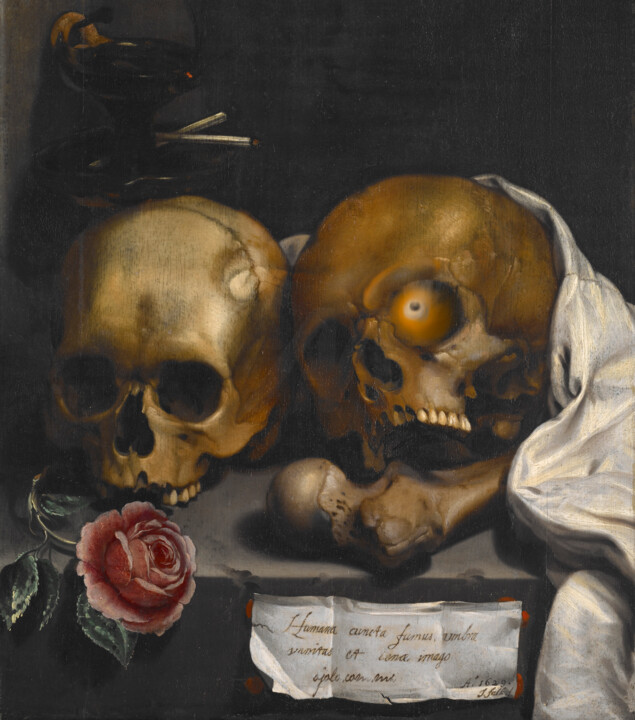 "naturaleza tuerta" başlıklı Dijital Sanat Ojolo tarafından, Orijinal sanat, Dijital Resim