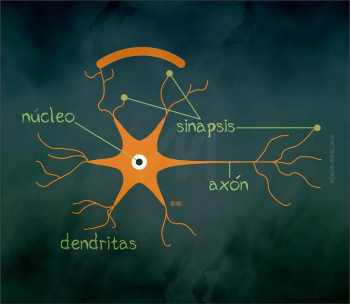 "neurojona rem" başlıklı Dijital Sanat Ojolo tarafından, Orijinal sanat, Dijital Resim