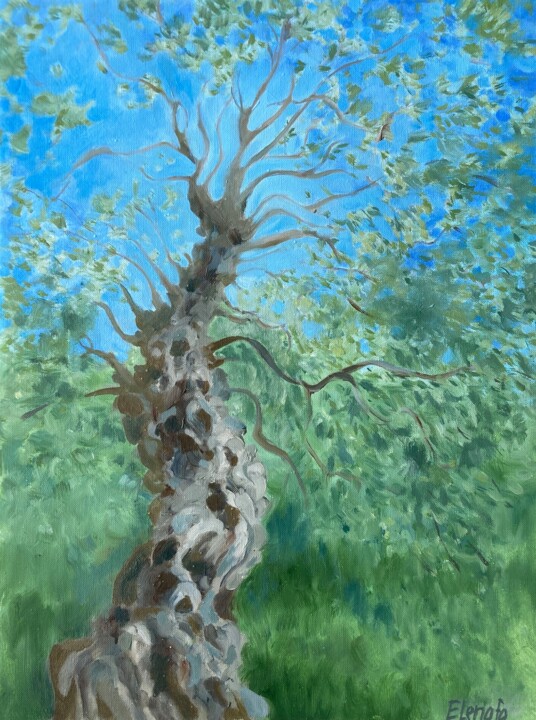 Painting titled "Olive tree" by Elena Afanaseva, Original Artwork, Oil