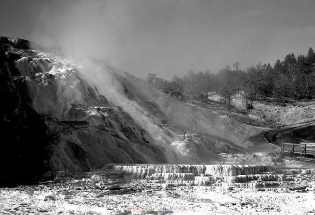 Photography titled "Yellowstone nationa…" by Ya Yuan Yayuan Li Li, Original Artwork