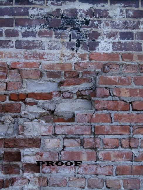 Photography titled "Brick Wall" by Amanda Snodgrass, Original Artwork