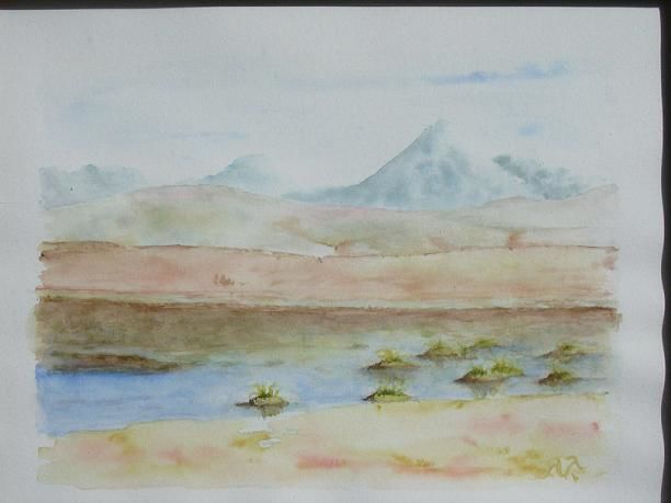 Peinture intitulée "Plaine du Chili" par Nathalie Torrents, Œuvre d'art originale