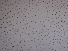 「Ant hill」というタイトルの写真撮影 Halima Javadovaによって, オリジナルのアートワーク