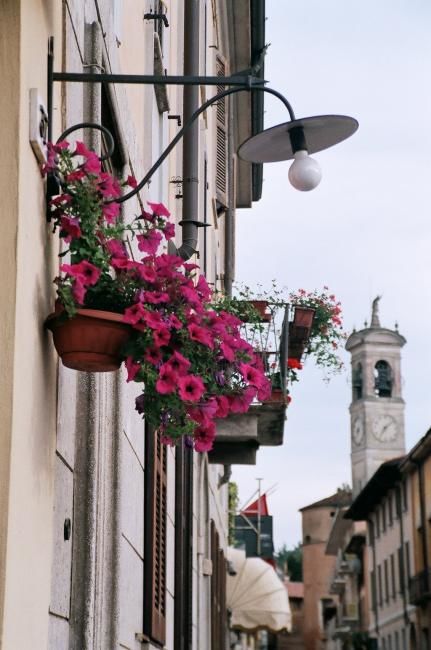 Photography titled "Italian's love for…" by Tejbir Sandhu, Original Artwork