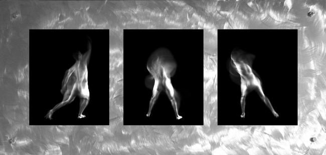 Photography titled "7.jpg" by Frederique Clement, Original Artwork