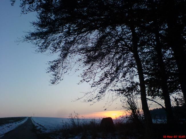 Photography titled "Winter light" by Olli, Original Artwork