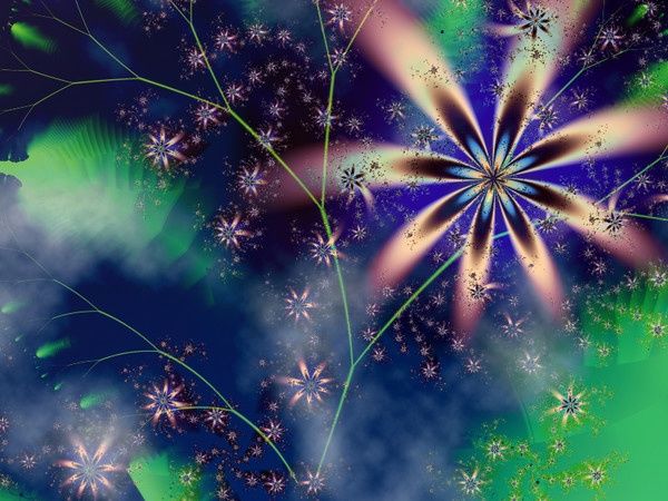 Digital Arts titled "Star-flower" by Hanna Stawska, Original Artwork