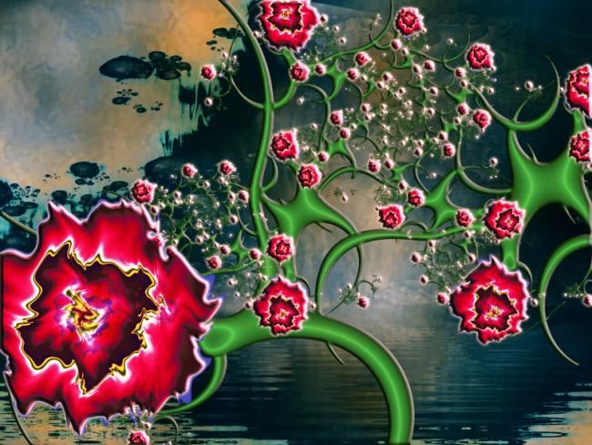 Digital Arts titled "Roses" by Hanna Stawska, Original Artwork
