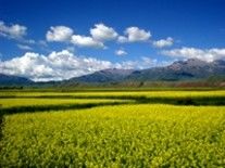 Photography titled "人间仙境----扁都口1" by Guo Zeng Tang, Original Artwork