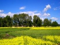 Photography titled "人间仙境----扁都口2" by Guo Zeng Tang, Original Artwork