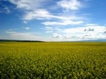 Photography titled "人间仙境----扁都口4" by Guo Zeng Tang, Original Artwork