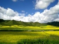 Photography titled "人间仙境----扁都口7" by Guo Zeng Tang, Original Artwork