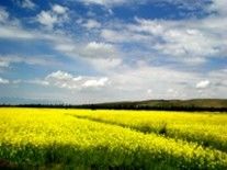 Photography titled "人间仙境----扁都口9" by Guo Zeng Tang, Original Artwork