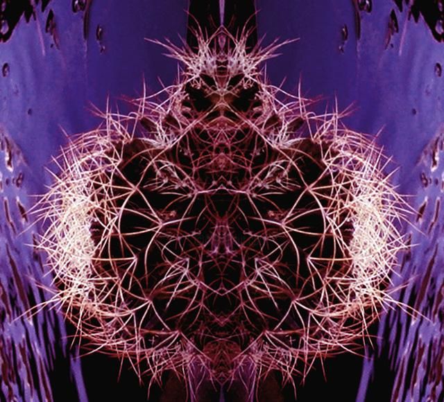 "Composición Ferocac…" başlıklı Dijital Sanat Irma Dugelby tarafından, Orijinal sanat