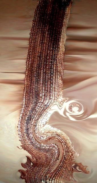 "Fibra del Desierto" başlıklı Dijital Sanat Irma Dugelby tarafından, Orijinal sanat