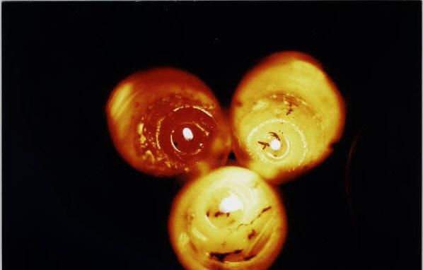 Photography titled "Candles" by Ben Gonzalez, Original Artwork