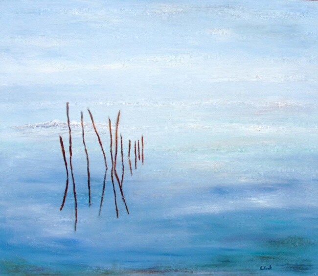 Pintura titulada "Du côté de Salt Lak…" por Elisa Cook Benbassat Bassat, Obra de arte original, Otro